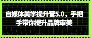 自媒体美学提升营5.0，手把手带你提升品牌审美-ANQUYE-HENHENLU-26UUU[首页]