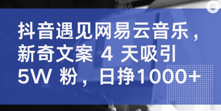 抖音遇见网易云音乐，新奇文案 4 天吸引 5W 粉，日挣1000+【揭秘】-ANQUYE-HENHENLU-26UUU[首页]