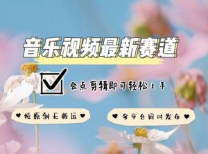 音乐视频赛道最新玩法，纯原创不违规，可所有平台同时发布，会点剪辑即可轻松拿捏【揭秘】-ANQUYE-HENHENLU-26UUU[首页]