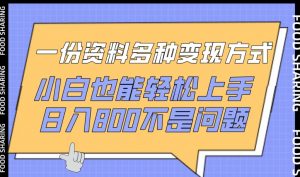 一份资料多种变现方式，小白也能轻松上手，日入800不是问题【揭秘】-ANQUYE-HENHENLU-26UUU[首页]