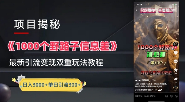 一千个野路子信息差最新玩法教程-变现+引流的玩法具体拆解【揭秘】-ANQUYE-HENHENLU-26UUU[首页]