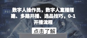 数字人操作员，数字人直播搭建、多路开播、选品技巧，0-1开播流程-ANQUYE-HENHENLU-26UUU[首页]
