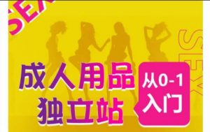 成人用品独立站从0-1入门，成品独立站运营全流程教学，七大好卖成品独立站推荐-ANQUYE-HENHENLU-26UUU[首页]