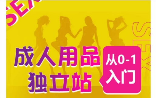 成人用品独立站从0-1入门，成品独立站运营全流程教学，七大好卖成品独立站推荐-ANQUYE-HENHENLU-26UUU[首页]