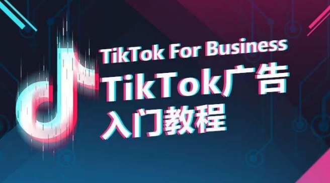 TikTok广告入门教程，从0到1掌握TikTok投放的全流程-ANQUYE-HENHENLU-26UUU[首页]