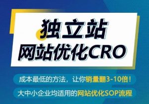 独立站网站优化CRO，成本最低的方法，让你销量翻3-10倍-ANQUYE-HENHENLU-26UUU[首页]