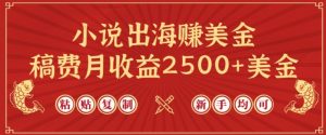 小说出海赚美金，稿费月收益2500+美金，仅需chatgpt粘贴复制，新手也能玩转【揭秘】-ANQUYE-HENHENLU-26UUU[首页]