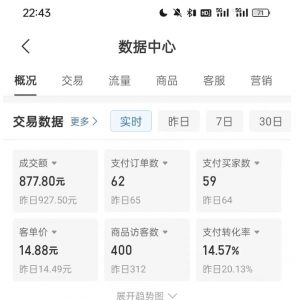 拼多多虚拟U盘电商红利项目：月赚2万+，新手小白也能玩-ANQUYE-HENHENLU-26UUU[首页]