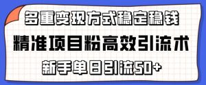 精准项目粉高效引流术，新手单日引流50+，多重变现方式稳定赚钱【揭秘】-ANQUYE-HENHENLU-26UUU[首页]