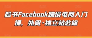 脸书Facebook跨境电商入门课，外贸·独立站必修-ANQUYE-HENHENLU-26UUU[首页]
