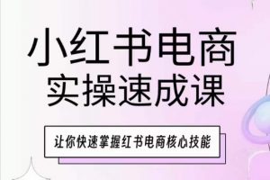 小红书电商实操速成课，让你快速掌握红书电商核心技能-ANQUYE-HENHENLU-26UUU[首页]