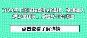 2024线上流量操盘实战课程，搭建高人效流量团队，掌握多平台流量-ANQUYE-HENHENLU-26UUU[首页]