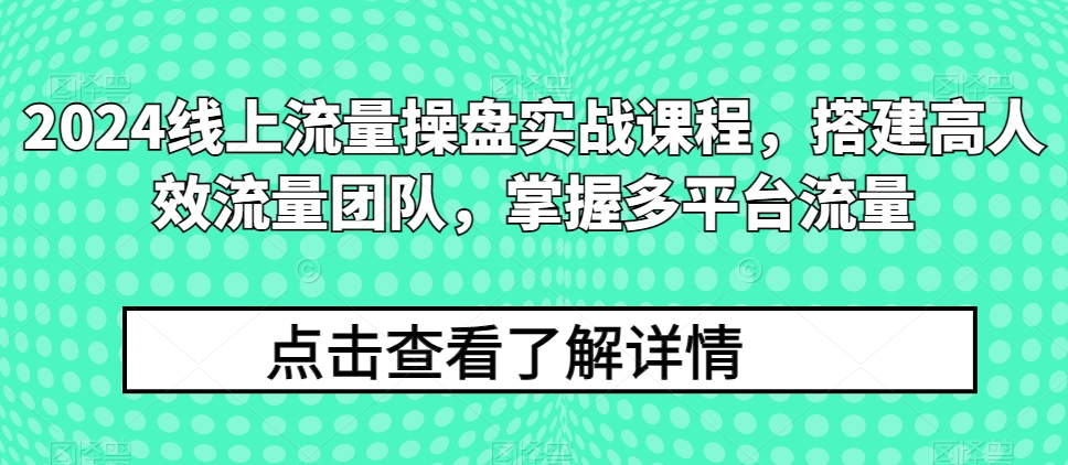 2024线上流量操盘实战课程，搭建高人效流量团队，掌握多平台流量-ANQUYE-HENHENLU-26UUU[首页]