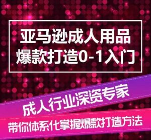亚马逊成人用品爆款打造0-1入门，系统化讲解亚马逊成人用品爆款打造的流程-ANQUYE-HENHENLU-26UUU[首页]