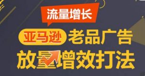 亚马逊流量增长-老品广告放量增效打法，循序渐进，打造更多TOP listing​-ANQUYE-HENHENLU-26UUU[首页]