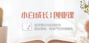 小白成长创业课：追求理论与实践结合，踏实落地，有尊严的持续赚钱-42节-ANQUYE-HENHENLU-26UUU[首页]
