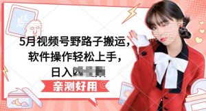 5月视频号野路子搬运，软件操作轻松上手，日入三位数【揭秘】-ANQUYE-HENHENLU-26UUU[首页]