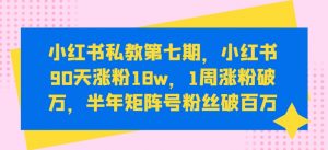 小红书私教第七期，小红书90天涨粉18w，1周涨粉破万，半年矩阵号粉丝破百万-ANQUYE-HENHENLU-26UUU[首页]