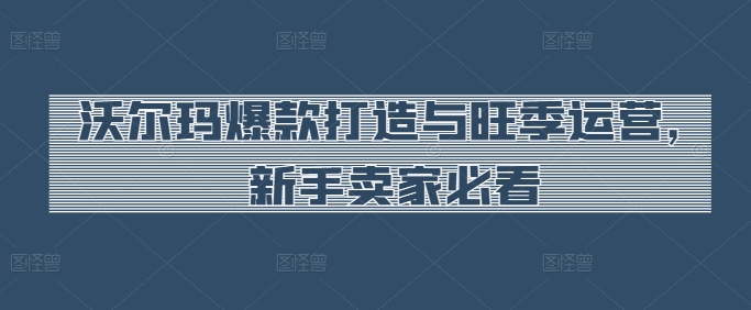 沃尔玛爆款打造与旺季运营，新手卖家必看-ANQUYE-HENHENLU-26UUU[首页]