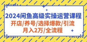 2024闲鱼高级实操运营课程：开店/养号/选择爆款/引流/月入2万/全流程-ANQUYE-HENHENLU-26UUU[首页]