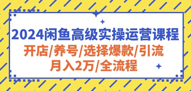 2024闲鱼高级实操运营课程：开店/养号/选择爆款/引流/月入2万/全流程-ANQUYE-HENHENLU-26UUU[首页]