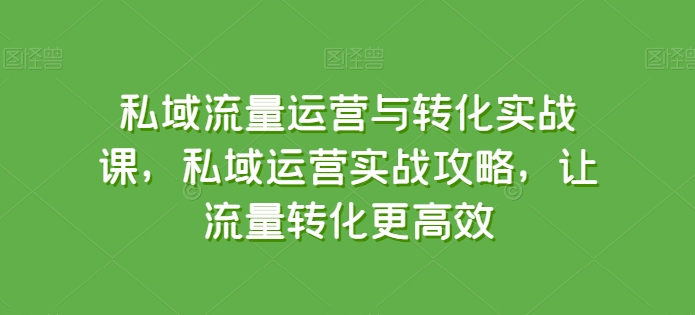 私域流量运营与转化实战课，私域运营实战攻略，让流量转化更高效-ANQUYE-HENHENLU-26UUU[首页]