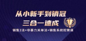 从小新手到销冠 三合一速成：销售3法+非暴力关单法+销售系统挖需课 (27节)-ANQUYE-HENHENLU-26UUU[首页]