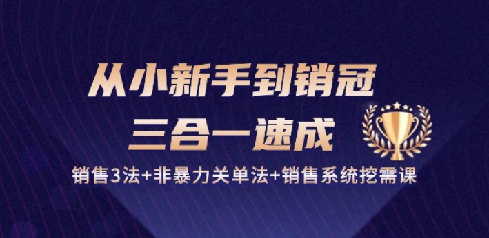 从小新手到销冠 三合一速成：销售3法+非暴力关单法+销售系统挖需课 (27节)-ANQUYE-HENHENLU-26UUU[首页]