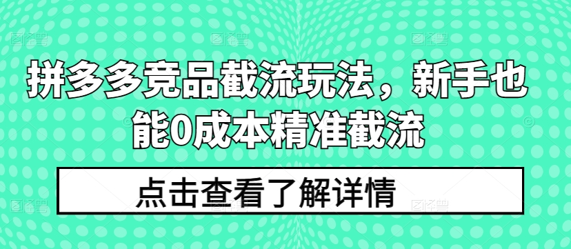 拼多多竞品截流玩法，新手也能0成本精准截流-ANQUYE-HENHENLU-26UUU[首页]