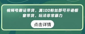 视频号搬运带货，满100粉丝即可开通橱窗带货，玩法非常暴力【揭秘】-ANQUYE-HENHENLU-26UUU[首页]