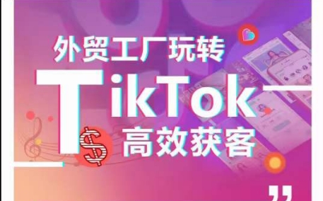 外贸工厂玩转TikTok高效获客，多种引流方式与账号定位技巧，拆解爆款短视频打造成功案例-ANQUYE-HENHENLU-26UUU[首页]