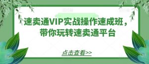 速卖通VIP实战操作速成班，带你玩转速卖通平台-ANQUYE-HENHENLU-26UUU[首页]