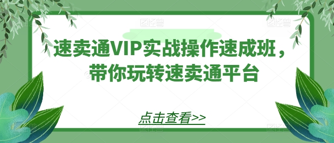 速卖通VIP实战操作速成班，带你玩转速卖通平台-ANQUYE-HENHENLU-26UUU[首页]