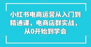 小红书电商运营从入门到精通课，电商店群实战，从0开始到学会-ANQUYE-HENHENLU-26UUU[首页]