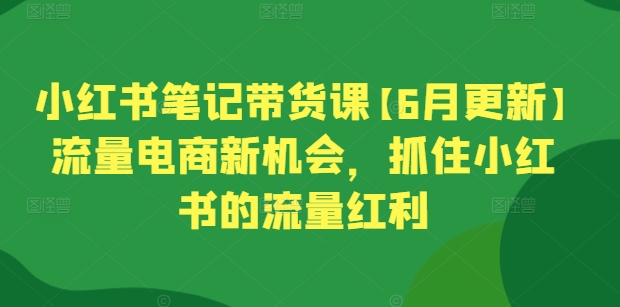 小红书笔记带货课【6月更新】流量电商新机会，抓住小红书的流量红利-ANQUYE-HENHENLU-26UUU[首页]