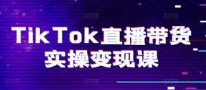 TikTok直播带货实操变现课：系统起号、科学复盘、变现链路、直播配置、小店操作流程、团队搭建等。-ANQUYE-HENHENLU-26UUU[首页]