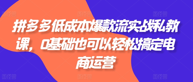 拼多多低成本爆款流实战私教课，0基础也可以轻松搞定电商运营-ANQUYE-HENHENLU-26UUU[首页]
