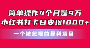 简单操作4个月赚9w，小红书打卡日变现1k，一个被忽视的暴力项目【揭秘】-ANQUYE-HENHENLU-26UUU[首页]