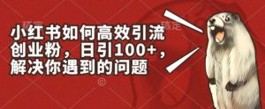 小红书如何高效引流创业粉，日引100+，解决你遇到的问题【揭秘】-ANQUYE-HENHENLU-26UUU[首页]