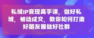 私域IP变现高手课，做好私域，被动成交，教你如何打造好朋友圈做好社群-ANQUYE-HENHENLU-26UUU[首页]