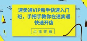 速卖通VIP新手快速入门班，手把手教你在速卖通快速开店-ANQUYE-HENHENLU-26UUU[首页]