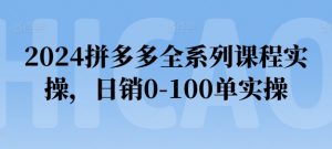 2024拼多多全系列课程实操，日销0-100单实操【必看】-ANQUYE-HENHENLU-26UUU[首页]