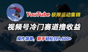 视频号冷门赛道撸收益，YouTube搬运极限运动集锦，暴力起号，操作简单流量高，轻松日入5张【揭秘】-ANQUYE-HENHENLU-26UUU[首页]