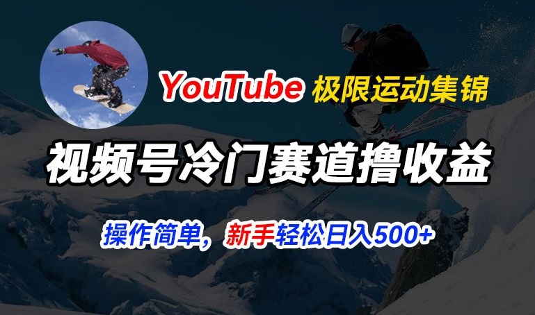 视频号冷门赛道撸收益，YouTube搬运极限运动集锦，暴力起号，操作简单流量高，轻松日入5张【揭秘】-ANQUYE-HENHENLU-26UUU[首页]