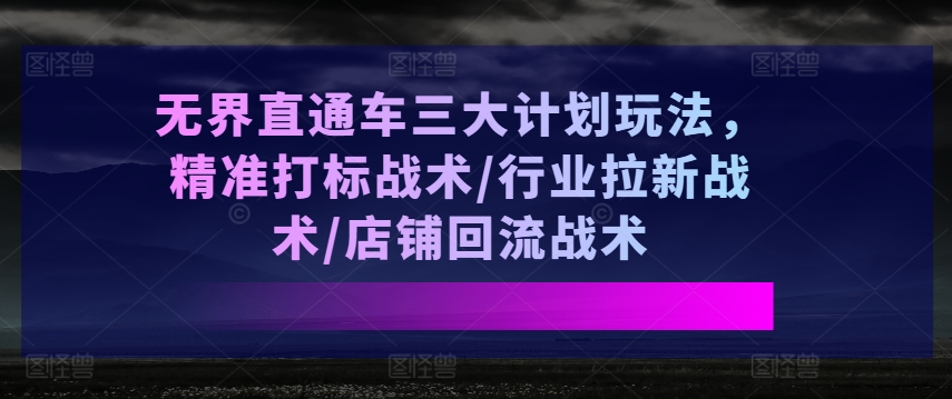 无界直通车三大计划玩法，精准打标战术/行业拉新战术/店铺回流战术-ANQUYE-HENHENLU-26UUU[首页]