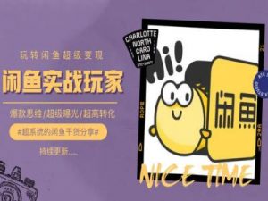 手把手教你0到1系统玩转闲鱼变现，爆款思维/超级曝光/超高转化-ANQUYE-HENHENLU-26UUU[首页]