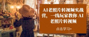 AI老照片转视频实战营，一线玩家教你AI老照片转视频-ANQUYE-HENHENLU-26UUU[首页]