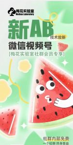 梅花实验室2024年AB技术视频号AB合成破解版-ANQUYE-HENHENLU-26UUU[首页]