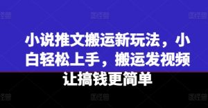 小说推文搬运新玩法，小白轻松上手，搬运发视频让搞钱更简单-ANQUYE-HENHENLU-26UUU[首页]