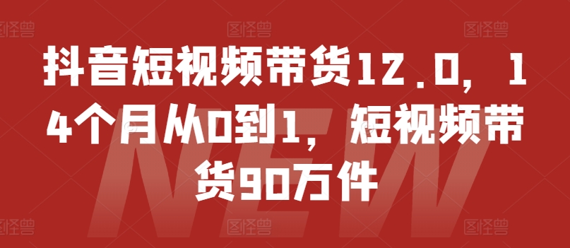 抖音短视频带货12.0，14个月从0到1，短视频带货90万件-ANQUYE-HENHENLU-26UUU[首页]